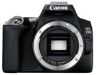 Canon 250D Camera Body